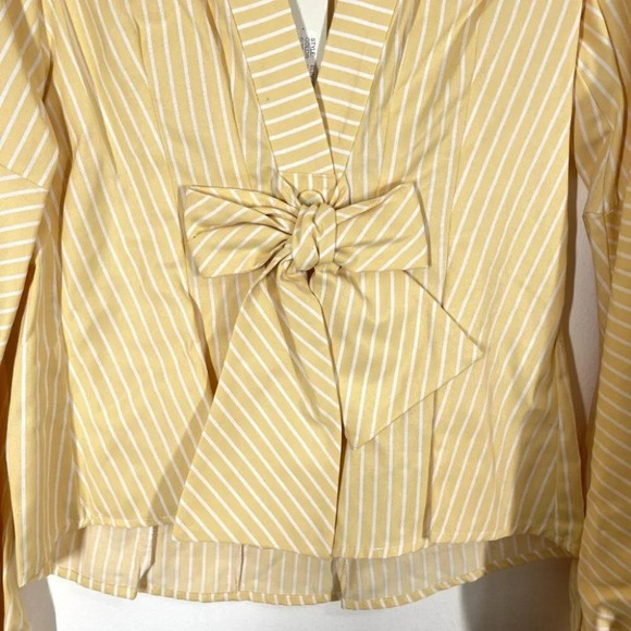 Petersyn Elinor Top NWT Plunging Neckline Long Sleeve Pleated Blouse Size XS - Picture 3 of 14